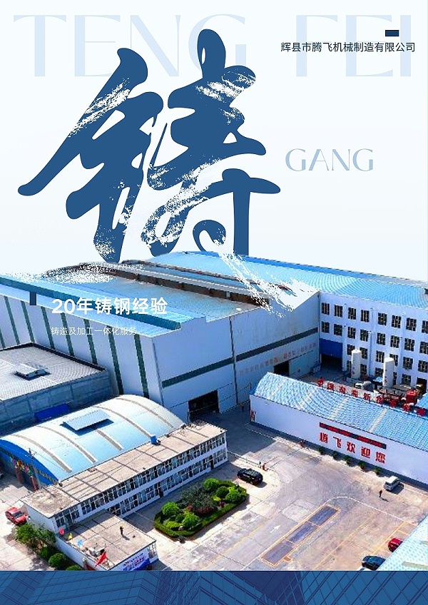 腾飞铸钢