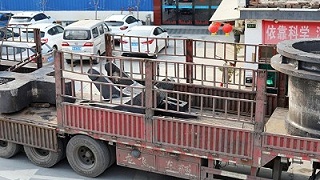 对大型铸钢件生产中出现的铸造缺陷，大型铸钢件厂家是怎么办的（三）