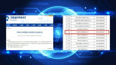 喜讯盈门 | 腾飞铸钢再获行业双点赞~